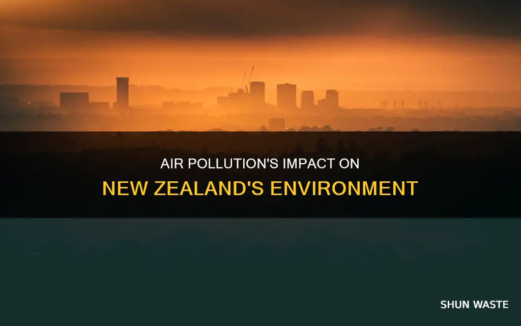 how is air pollution affecting new zealand