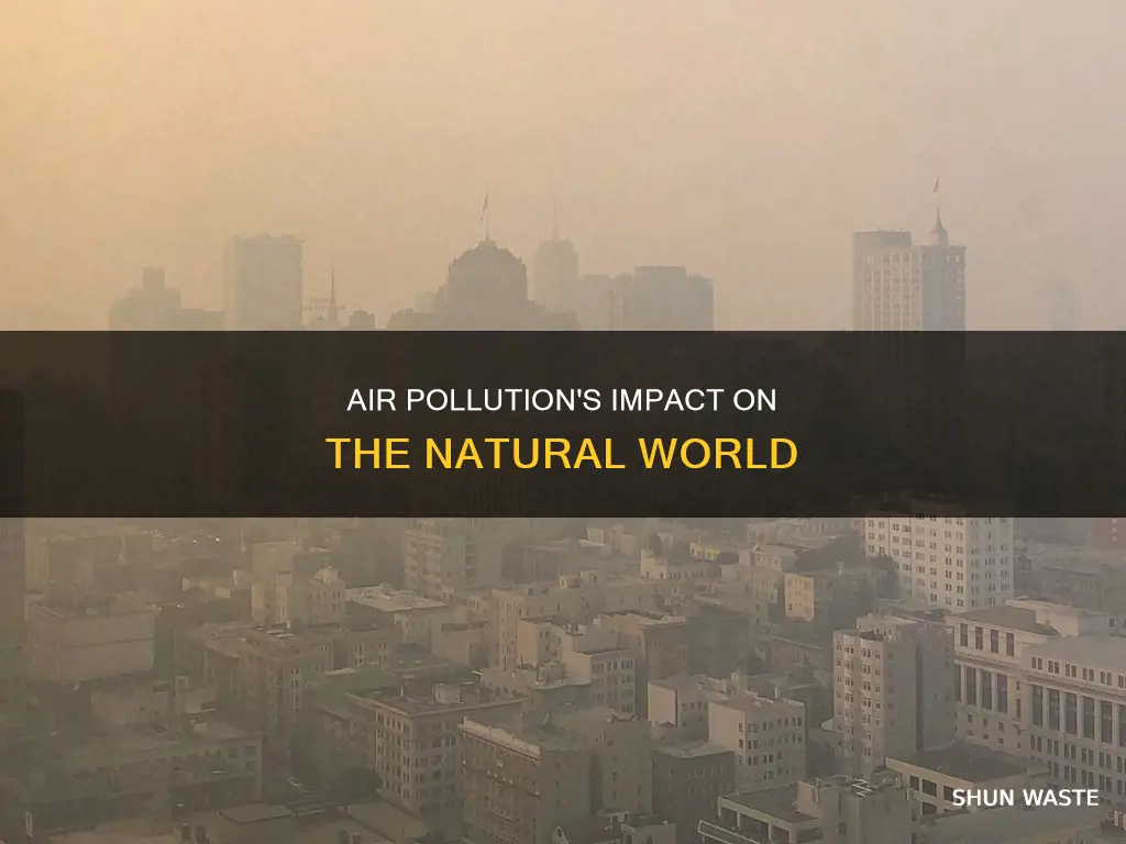 how is air pollution affecting other organisms