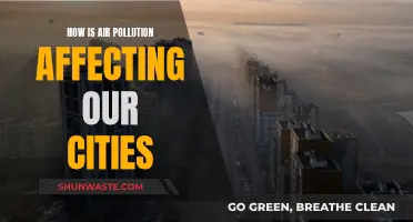 Air Pollution's Impact: Our Cities Choke and Gasp