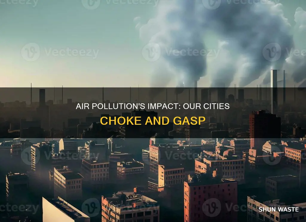 how is air pollution affecting our cities