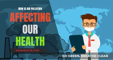 Air Pollution: A Silent Killer Affecting Our Health