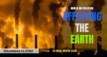 Air Pollution: Earth's Slow Poisoning