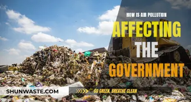 Air Pollution's Impact: Government's Response and Challenges