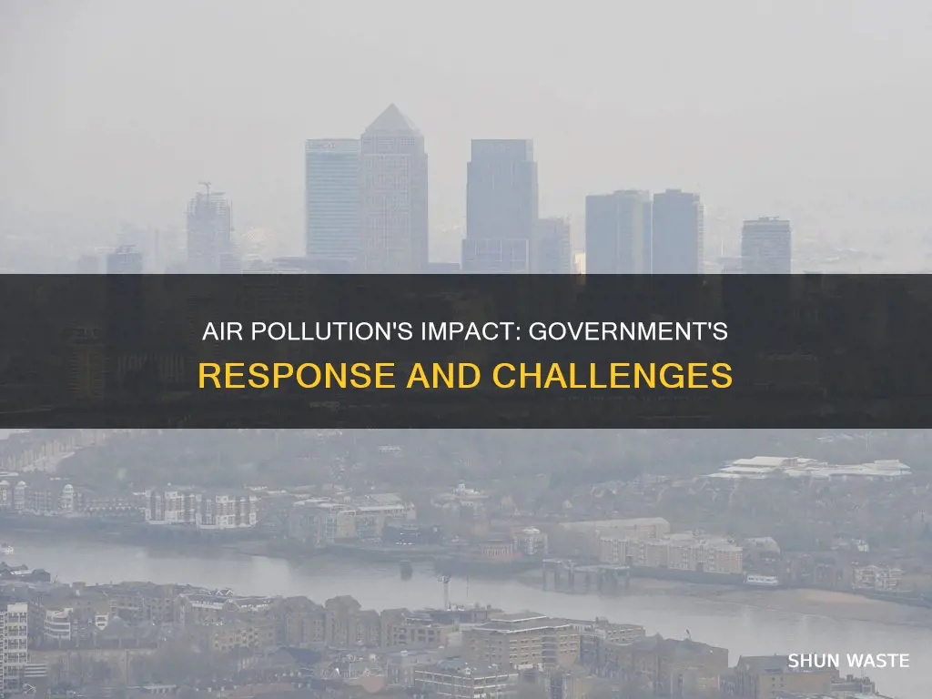 how is air pollution affecting the government