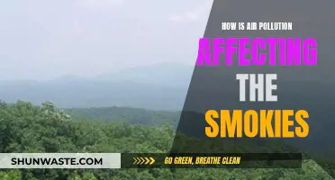 Air Pollution's Impact on the Smokies' Environment