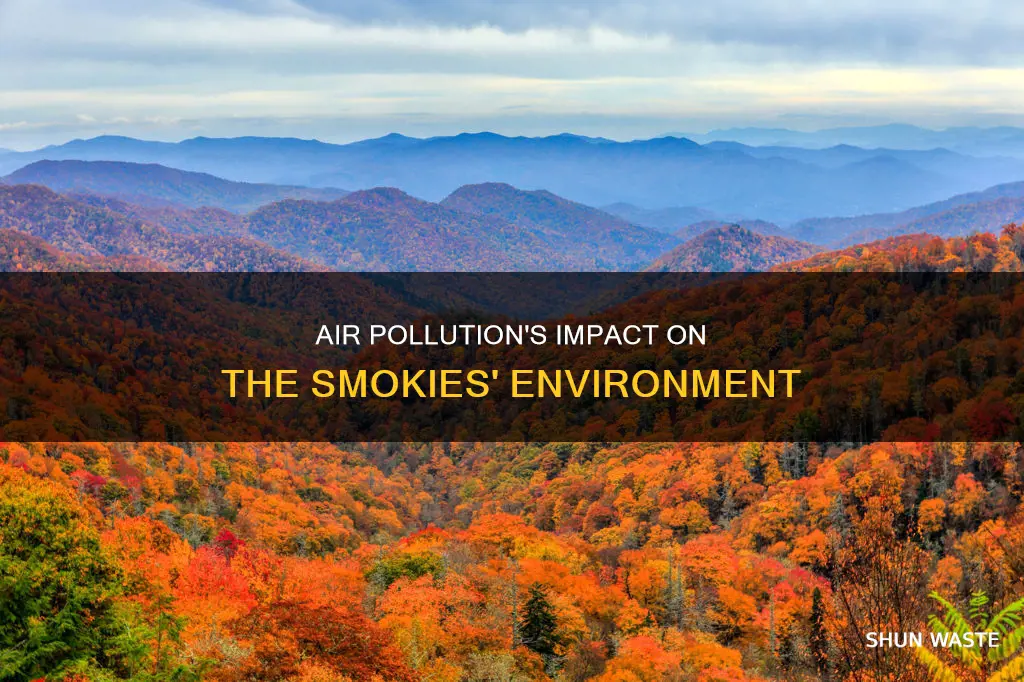 how is air pollution affecting the smokies