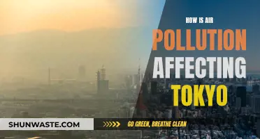 Air Pollution's Impact on Tokyo: A Health Crisis Unfolding