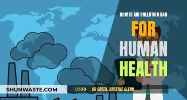 Air Pollution: A Slow Poison for Human Health