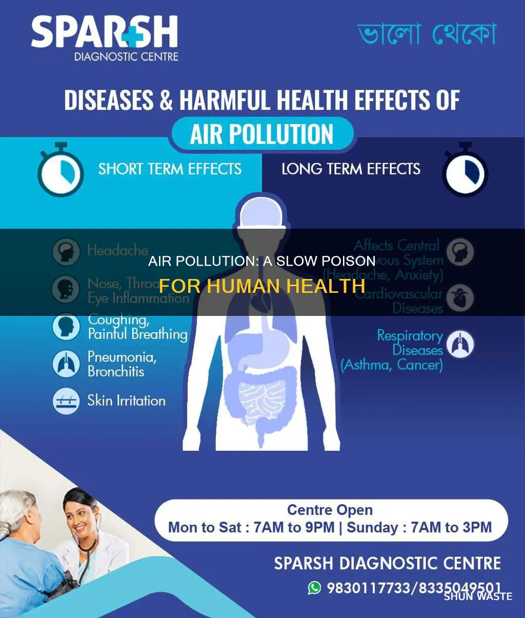 how is air pollution bad for human health