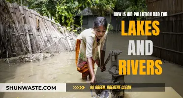 Air Pollution: Killing Our Lakes and Rivers