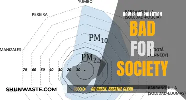 Air Pollution: A Toxic Threat to Our Society