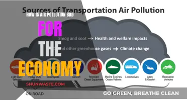 Air Pollution: Economic Costs and Health Hazards