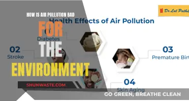Air Pollution: A Toxic Threat to Nature