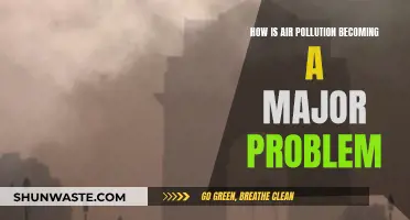 Air Pollution: A Growing Global Crisis