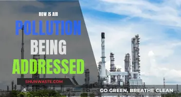 Addressing Air Pollution: Strategies and Initiatives