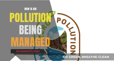 Managing Air Pollution: Strategies for Cleaner Air