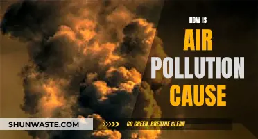 Air Pollution: Human Activities, Harmful Emissions