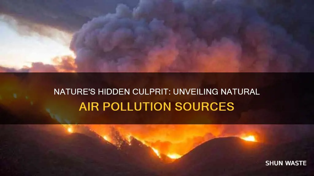 how is air pollution caused by nature