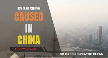 Unveiling China's Air Pollution Crisis: Sources and Solutions