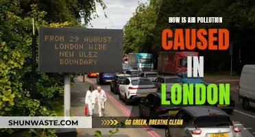 London's Air Pollution: Sources, Causes, and Solutions