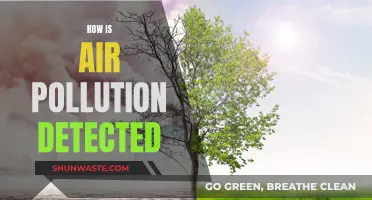 Detecting Air Pollution: Methods and Technologies