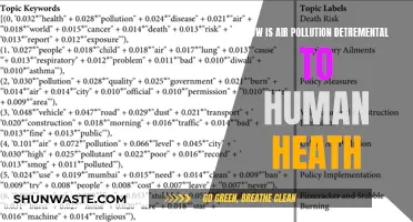 Air Pollution: Harming Our Health, Hurting Our Future