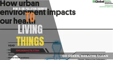 Air Pollution: A Lethal Threat to Life