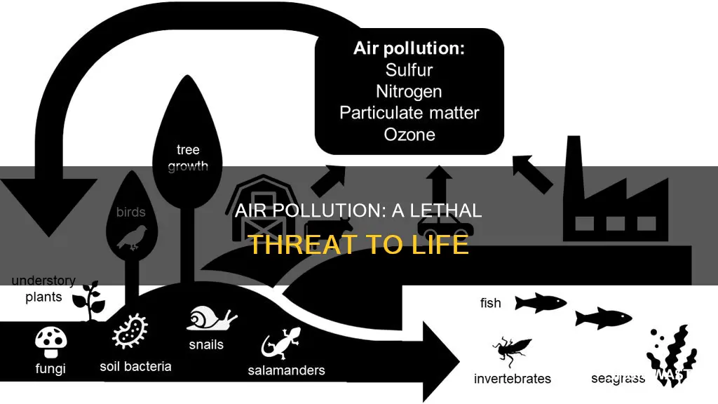 how is air pollution harmful to living things