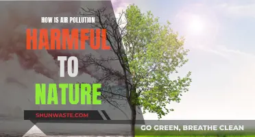Air Pollution: Nature's Unseen Killer