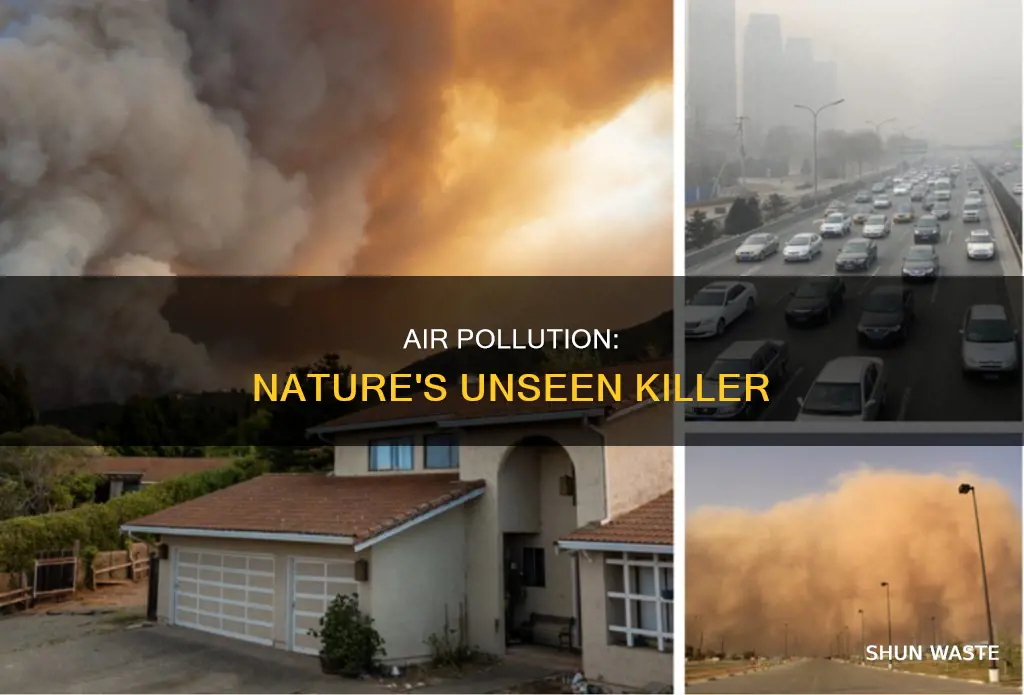 how is air pollution harmful to nature