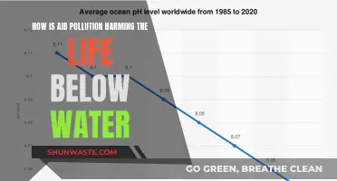 The Silent Killer Below: Air Pollution's Impact on Marine Life