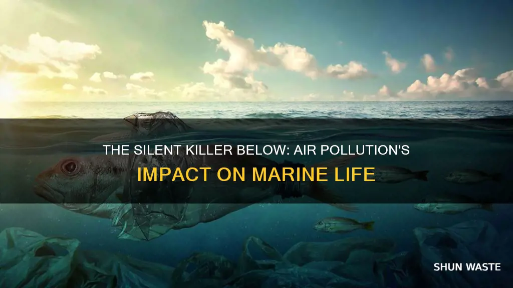 how is air pollution harming the life below water