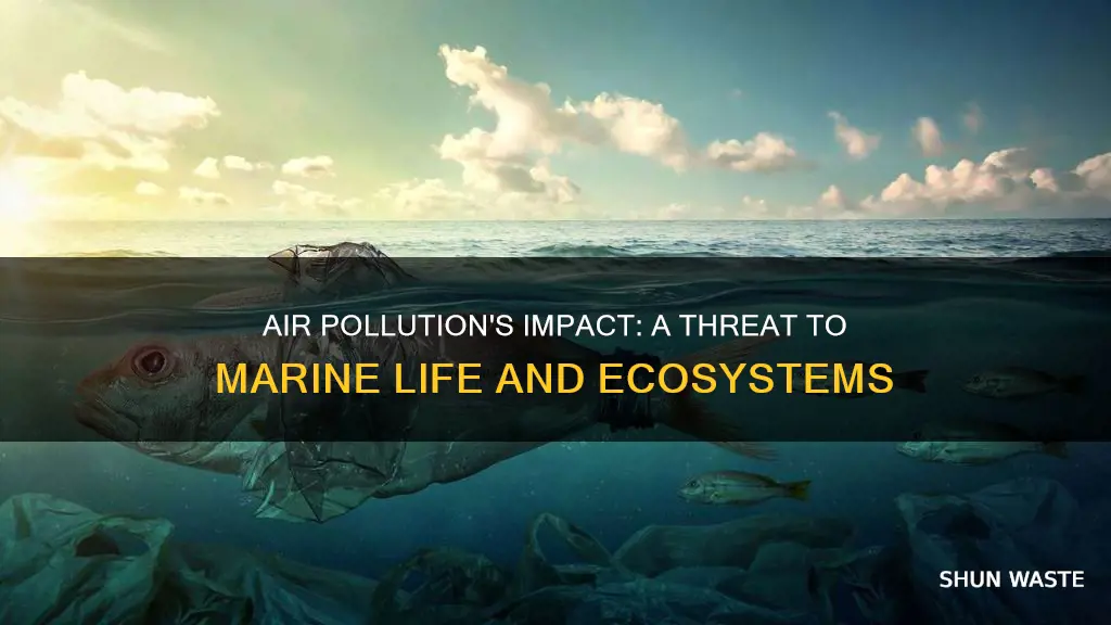 how is air pollution hearting the life below water