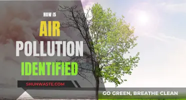 Air Pollution: Identifying the Invisible Threat