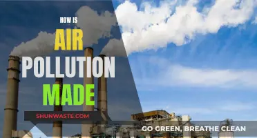 Air Pollution: What's Making Our Air Toxic?