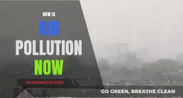 Air Pollution: Current State and Trends