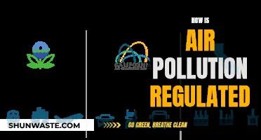 Air Pollution Control: Strategies and Regulations