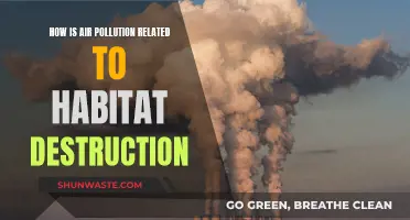 Air Pollution: Destroying Habitats, Killing Wildlife