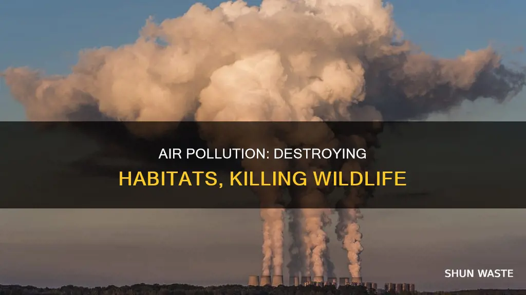 how is air pollution related to habitat destruction