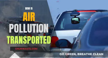 Air Pollution's Journey: How Far Can It Travel?