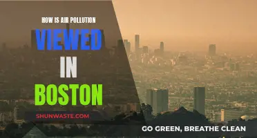 Boston's Air Pollution: A Local Perspective