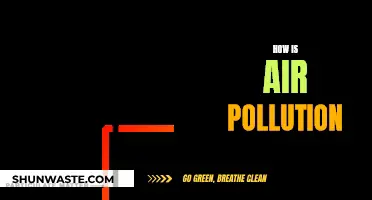 Air Pollution: A Deadly, Invisible Crisis