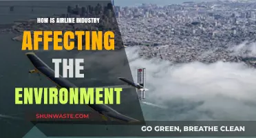 Airline Industry's Environmental Impact: Challenges and Sustainable Solutions