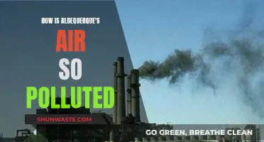 Albuquerque's Air: Why So Polluted?