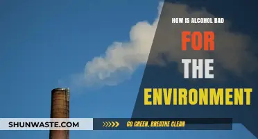Alcohol's Hidden Impact: Uncovering Its Harmful Effects on Our Planet