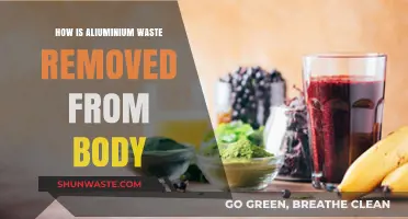 Effective Methods for Eliminating Aluminum Waste from the Human Body