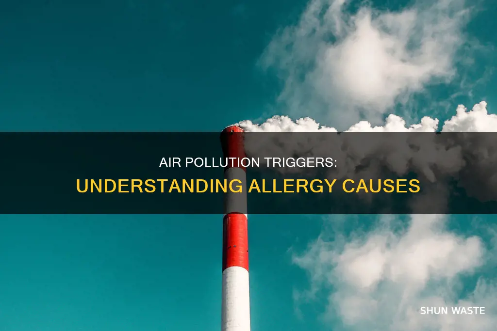 how is allergies caused by air pollution