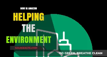 Amazon's Green Initiatives: Sustainable Practices for a Healthier Planet