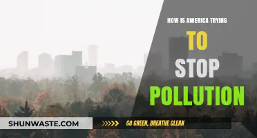 America's Anti-Pollution Efforts: Strategies and Initiatives