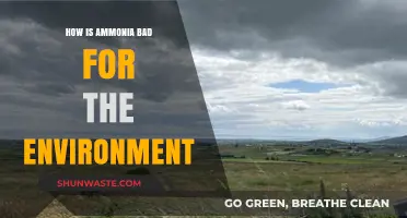 Ammonia's Environmental Impact: Pollution, Ecosystem Damage, and Climate Concerns